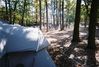 435661-R1-21-22A.jpg