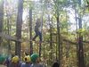 Josiah_Williams_on_the_High_Ropes.JPG